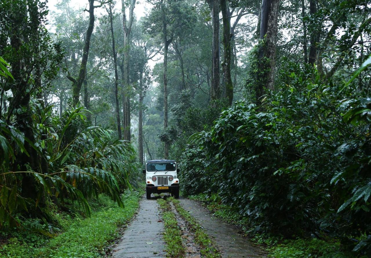 Dew Drops Farm Resorts Munnar Kültér fotó